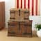Household Essentials Hinge Decorative Trunk (Set of 2)